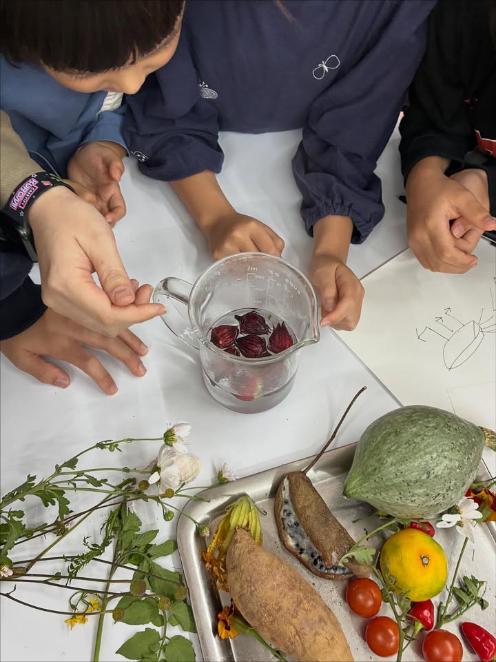 드로잉 스테이션 2주차